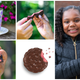 Raspberry Rally Girl Scout Cookie lifestyle images